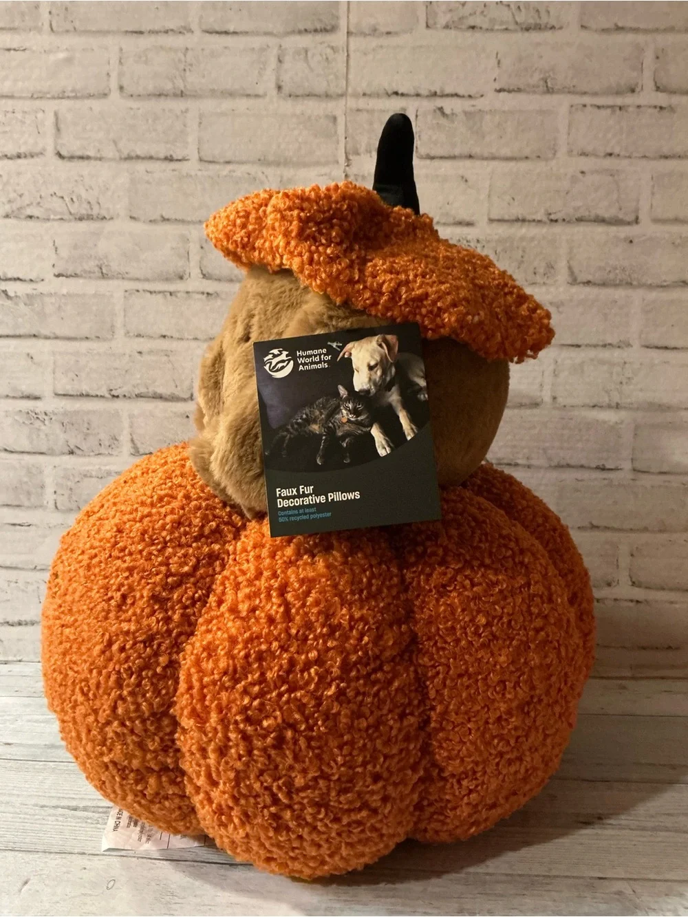 HUMANE SOCIETY 21x18 peek a boo halloween dog pillow